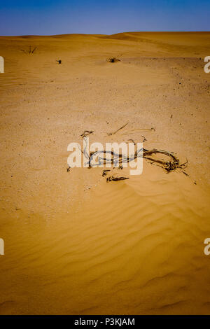 Le lit du lac à sec de Draa Ouid près de la frontière algérienne, dans le sud du Maroc Banque D'Images