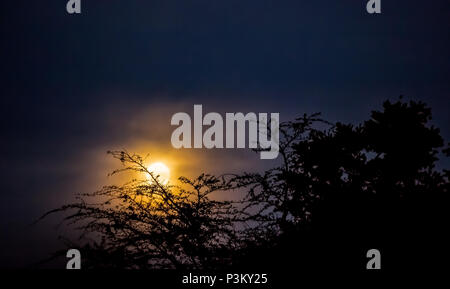 Full Moon Rising Banque D'Images