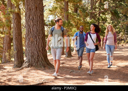 Groupe de jeunes amis de la randonnée aventure en pleine campagne Banque D'Images