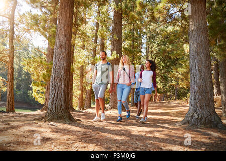 Groupe de jeunes amis de la randonnée aventure en pleine campagne Banque D'Images