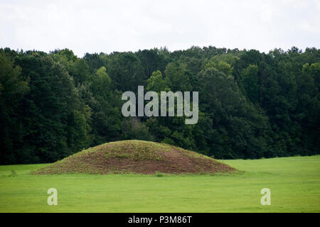 Les monticules de Pharr, un tumulus funéraire site archéologique sur la Natchez Trace Parkway à milepost 286,7 au Mississippi. Banque D'Images