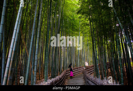 Femme, forêt de bambous, à Adashino Nembutsu ji Arashiyama, Kyoto , Banque D'Images