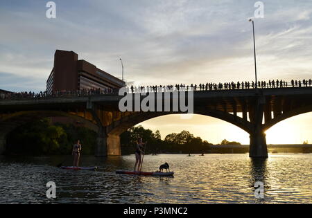 Deux filles paddle dans la soirée pour regarder la le Congrès ave les chauves-souris sortent sur le lac Coccinelle à Austin, Texas. Banque D'Images