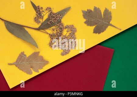 Automne feuilles séchées sur papier brillant de couleur, l'arrière-plan avec l'exemplaire de l'espace pour votre texte. Vue de dessus. Concept de l'automne, l'école élémentaire, passe-temps, loisirs Banque D'Images