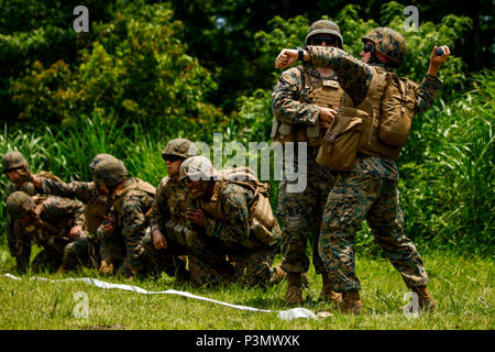 Un Marine U.S. Marine avec l'Escadron de soutien de l'aile (MWSS) 171 stationnés à Iwakuni Marine Corps Air Station, Japon, lance une grenade M69 pratique dans le cadre d'une formation à la grenade pendant l'exercice 2016 Eagle colère au centre de formation interarmes Fuji Camp, le 11 juillet 2016. L'exercice annuel se concentre sur l'offre de soutien au sol à l'aviation d'un élément de combat de l'aviation tout en renforçant les compétences apprises Marines spécialités professionnelles militaires tout au long de leur scolarité et formation de combat maritime. (U.S. Marine Corps photo par Lance Cpl. Aaron Henson/libérés) Banque D'Images