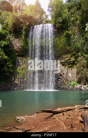 En cascade de l'eau sur une falaise à la cascade de Millaa Milla Tropical North Queensland Australie près de Cairns Banque D'Images