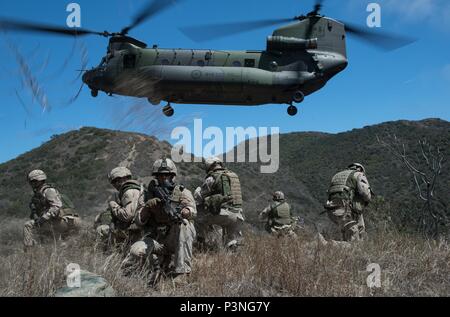 CAMP PENDLETON, en Californie (15 juillet 2016) - L'Armée canadienne, des tireurs d'éclaireuses et membres de reconnaissance, du 2e Bataillon du Royal 22e Régiment, effectuer l'insertion et l'extraction par Helicopter Training avec un hélicoptère CH-147F Chinook au cours de Rim of the Pacific 2016 Le Camp Pendleton à San Diego, Californie. Vingt-six nations, plus de 40 navires et sous-marins, plus de 200 avions et 25 000 personnes participent à l'EXERCICE RIMPAC du 30 juin au 4 août, dans et autour des îles Hawaï et la Californie du Sud. Le plus grand exercice maritime international Banque D'Images