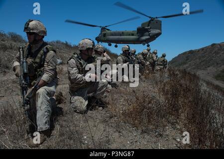 CAMP PENDLETON, en Californie (15 juillet 2016) - L'Armée canadienne, des tireurs d'éclaireuses et membres de reconnaissance, du 2e Bataillon du Royal 22e Régiment, effectuer l'insertion et l'extraction par Helicopter Training avec un hélicoptère CH-147F Chinook au cours de Rim of the Pacific 2016 Le Camp Pendleton à San Diego, Californie. Vingt-six nations, plus de 40 navires et sous-marins, plus de 200 avions et 25 000 personnes participent à l'EXERCICE RIMPAC du 30 juin au 4 août, dans et autour des îles Hawaï et la Californie du Sud. Le plus grand exercice maritime international Banque D'Images