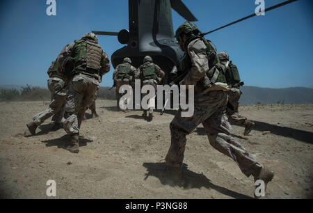 CAMP PENDLETON, en Californie (15 juillet 2016) - L'Armée canadienne, des tireurs d'éclaireuses et membres de reconnaissance, du 2e Bataillon du Royal 22e Régiment, effectuer l'insertion et l'extraction par Helicopter Training avec un hélicoptère CH-147F Chinook au cours de Rim of the Pacific 2016 Le Camp Pendleton à San Diego, Californie. Vingt-six nations, plus de 40 navires et sous-marins, plus de 200 avions et 25 000 personnes participent à l'EXERCICE RIMPAC du 30 juin au 4 août, dans et autour des îles Hawaï et la Californie du Sud. Le plus grand exercice maritime international Banque D'Images