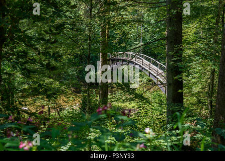 Gorges de Wutach avec rivière et le pont - Marche dans le paysage magnifique de la Forêt-Noire, Allemagne Banque D'Images