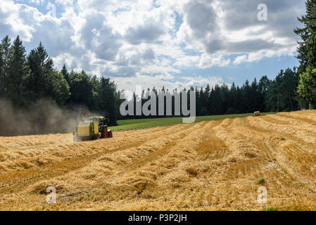 Le tracteur sur la récolte de maïs du champ - Banque D'Images