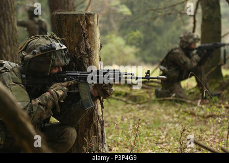 Des soldats polonais du 1er Bataillon d'infanterie montée, 17e Brigade mécanisée engager l'ennemi lors d'une agression simulée au cours de Sabre à la jonction 17 Hohenfels Domaine de formation, l'Allemagne, le 8 mai 2017. Sortie 17 Sabre est l'armée américaine Europe's Cavalry Regiment 2d centre de formation de combat de l'exercice de certification, qui aura lieu au Centre de préparation interarmées multinationale à Hohenfels, Allemagne, Avril 25-Mai 19, 2017. L'exercice a pour but d'évaluer l'état de préparation du régiment pour mener des opérations terrestres unifiée, avec un accent particulier sur les répétitions de la transition de garnison pour Banque D'Images