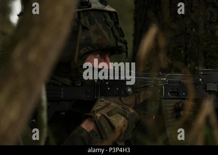 Un des soldats polonais du 1er Bataillon d'infanterie montée, 17e Brigade mécanisée secteur observe son d'incendie lors d'une agression simulée au cours de Sabre à la jonction 17 Hohenfels Domaine de formation, l'Allemagne, le 8 mai 2017. Sortie 17 Sabre est l'armée américaine Europe's Cavalry Regiment 2d centre de formation de combat de l'exercice de certification, qui aura lieu au Centre de préparation interarmées multinationale à Hohenfels, Allemagne, Avril 25-Mai 19, 2017. L'exercice a pour but d'évaluer l'état de préparation du régiment pour mener des opérations terrestres unifiée, avec un accent particulier sur les répétitions la transition fro Banque D'Images