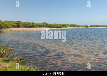 Piscine Kenfig, réserve naturelle nationale de Kenfig, tonne Kenfig, Bridgend, South Wales, UK Banque D'Images