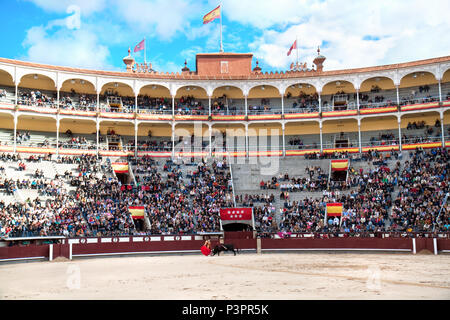 MADRID - Octobre 17 : Torero se bat pour une foule à la Plaza del Toros de Las Ventas, à Madrid, Espagne. Banque D'Images