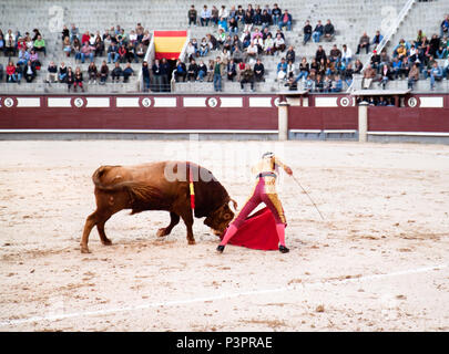 MADRID - 17 OCTOBRE :'Les matadors pirouettes, compétence et la bravoure devant le taureau qui a la foule dans le ravissement, Plaza del Toros de Las Venta sur oc Banque D'Images