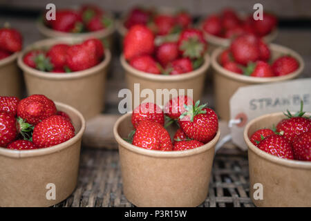 Rouge bio savoureux et parfaitement une fraise mûre en vente sur un marché de producteurs à Cornwall, UK Banque D'Images