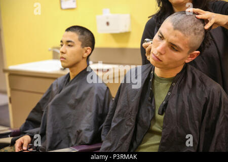 Les nouvelles recrues de la Compagnie Alpha, 1er Bataillon, la formation des recrues reçoivent leur première coupe de cheveux au Marine Corps Recruter Depot San Diego, 8 mai. Recrute coiffeur recevoir immédiatement après son arrivée pour créer l'uniformité. Chaque année, plus de 17 000 hommes recrutés dans la région de recrutement de l'Ouest sont formés à MCRD San Diego. La Compagnie Alpha est prévue pour le 4 août d'études supérieures. Banque D'Images