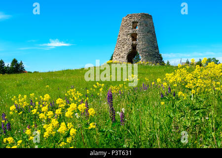 Ruines du vieux moulin à vent sur un terrain. L'Estonie, pays Baltes, Europe Banque D'Images