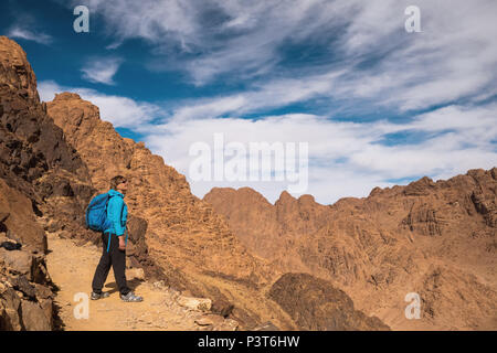 Femme Hiker with backpack profitez d'afficher dans le désert Banque D'Images