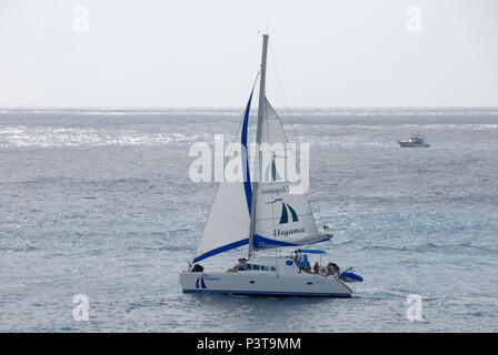 Élégance Catamaran voile, Barbados, Caribbean Banque D'Images