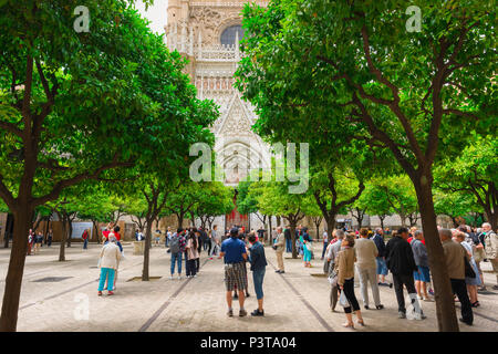 Patio de los Naranjos, les visiteurs de Séville La Cathédrale de Séville se tenir sous les orangers du Patio de los Naranjos, Séville, Andalousie, Espagne Banque D'Images