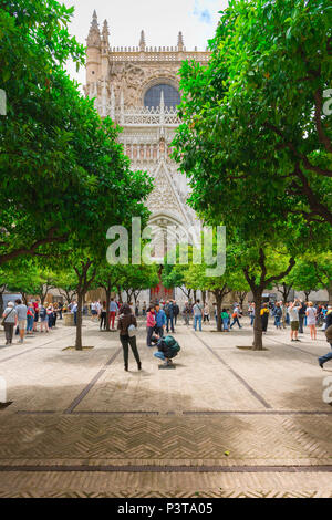 Séville Patio de los Naranjos, les visiteurs de la Cathédrale de Séville se tenir sous les orangers du Patio de los Naranjos, Séville, Andalousie, Espagne Banque D'Images