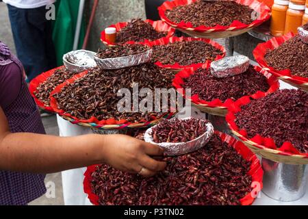 Chapulines ou les sauterelles à Mercado Benito Juarez, la Ville d'Oaxaca, Oaxaca, Mexique, Banque D'Images