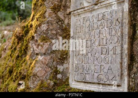 Bussaco Palace et ses jardins, est entouré par 250 hectares de bois, Portugal Banque D'Images