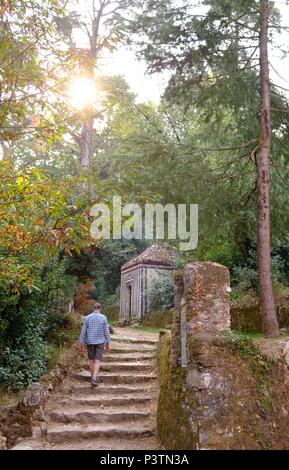 Bussaco Palace et ses jardins, est entouré par 250 hectares de bois, Portugal Banque D'Images