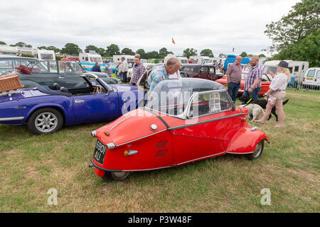 Knutsford, Royaume-Uni. 19 Jun, 2018. 19 juin 2018 - Le Cheshire Showground de Clay House Farm Flittogate Lane, Londres a accueilli la 2018 Cheshire Comté Royal Show. Le spectacle est sur les sites fabuleux, des personnages & saveurs de Cheshire & beyond Crédit : John Hopkins/Alamy Live News Banque D'Images