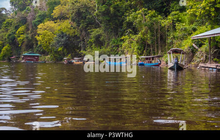 Le début de la rivière Tahan après la confluence avec la rivière Tembeling Parc national de Taman Negara, Malaisie. Banque D'Images