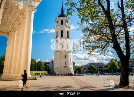 Bell Tower et Cathédrale Catholique, Vilnius, Lituanie en été Banque D'Images