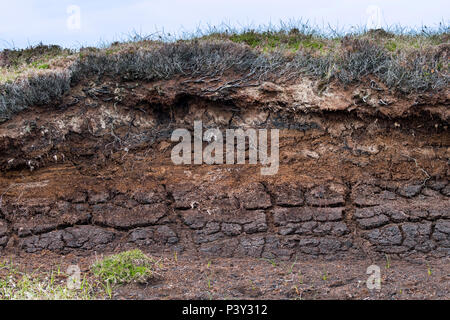 Hag Tourbe exposée montrant des couches de tourbe, la végétation en décomposition, par l'érosion dans les landes tourbières, Ecosse, Royaume-Uni Banque D'Images