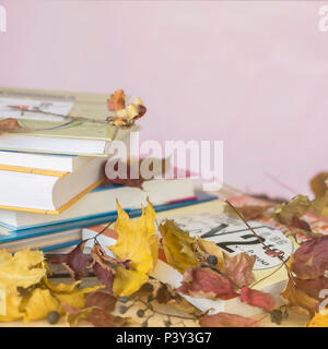 Les manuels scolaires, les livres sur la table avec les feuilles d'automne jaune, contre un léger fond rose avec copie espace pour le texte. Concept de retour à l'école, l'éducation Banque D'Images