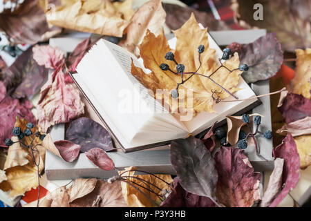 Livre ouvert dans le cadre en bois close-up recouvert de feuilles d'automne sec et ensoleillé jour d'automne, vintage. Vue d'en haut. Concept d'humeur romantique, l'école, lecture Banque D'Images