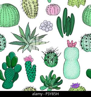 Cactus de couleur, motif transparent hand drawn vector illustration. Succulentes collection. n Illustration de Vecteur