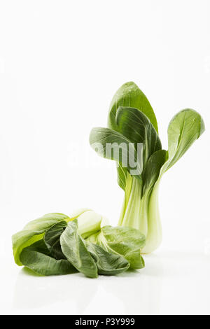 Shanghai Pak choi - Shanghai-Senfkohl Banque D'Images