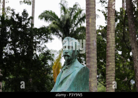 Busto Feito em installé en bronze pas d'espace intérieur n'Jardim Botânico do Rio, em homenagem ao botânico João Barbosa Rodrigues, directeur de la législation sur la que do Jardim Botânico entre os anos de 1890 e 1909, tenso sido responsável por obras notáveis como Iconographie des orchidées du Brésil, de 1882, e Sertum Palmarum Brasiliensium, de 1903. Monumento inaugurado em 1933 Patrocinado por Eduardo Guinle Guilherme. Banque D'Images