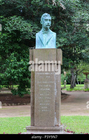 Busto Feito em installé en bronze pas d'espace intérieur n'Jardim Botânico do Rio, em homenagem ao botânico João Barbosa Rodrigues, directeur de la législation sur la que do Jardim Botânico entre os anos de 1890 e 1909, tenso sido responsável por obras notáveis como Iconographie des orchidées du Brésil, de 1882, e Sertum Palmarum Brasiliensium, de 1903. Monumento inaugurado em 1933 Patrocinado por Eduardo Guinle Guilherme. Banque D'Images
