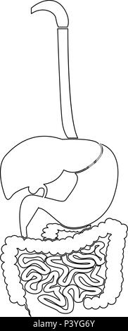 L'icône du système digestif couleur noir Je vecteur d'images simple style plat Illustration de Vecteur