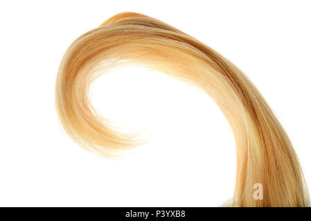 Morceau de cheveux blonds dans un isolé curl Banque D'Images