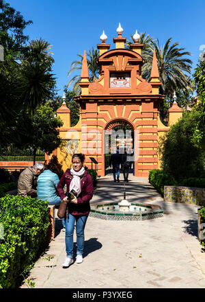 Les jardins Reales Alcazares, Reales Alcázares de Séville, Séville, Andalousie, Espagne Banque D'Images