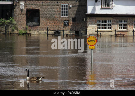 En regardant vers le King's Arms pub sur King's Staith Skeldergate au cours de la 2012 d'inondations à York, North Yorkshire. Banque D'Images