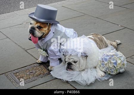 Londres/UK - 9 juin : mariée endormi à son propre mariage à Londres le 09 juin, 2018 Banque D'Images