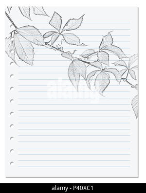 Fiche technique de l'ordinateur portable en règle avec dessin au crayon noir-blanc de vigne vierge Parthenocissus quinquefolia feuillage feuille ( ). Retour à l'école. Banque D'Images
