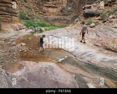 Les randonneurs en ermite Creek dans le Parc National du Grand Canyon, Arizona. Banque D'Images