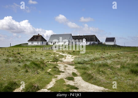 Hamburger Hallig, Allemagne, Hamburger Hallig Frise du Nord Banque D'Images