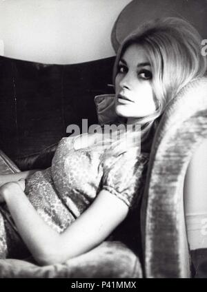 Stars : Sharon Tate. Banque D'Images