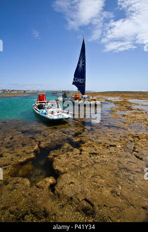 Porto de Galinhas Ipojuca--PE recifes de corais corais de Porto de Galinhas Natureza biodiversidade marinha jangadas de Porto de Galinhas embarcação Oceano Atlântico Praia Mar Oceano Verão Turismo Passeio Viagem Postal Cartão de Porto de Galinhas Porto de Galinhas Ipojuca Pernambuco Nordeste Brasil Banque D'Images